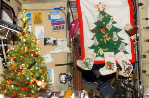 humanoidhistory:Christmas decorations in the Zvezda module of the International Space Station, Decem