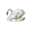 swansonnetts