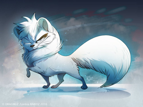 Bandie, the arctic Fox - Sketches and random stuff. 