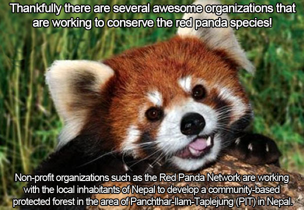 This Species And So Many Others Are So Important