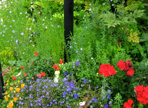 A flax patch in the garden.