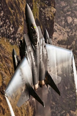 rocketman-inc:  F15 eagle