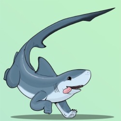 nekoama:  I drew some more cute Sharkpups!