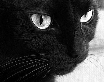 eneloh.tumblr.com/post/125002737480/