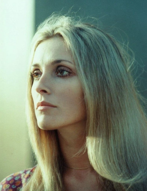 lily-laurent:Sharon Tate by Shahrokh Hatami, 1968
