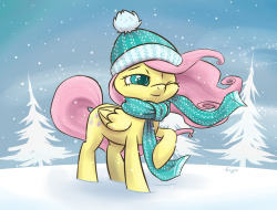 projectrobert:  cocoa-bean-loves-fluttershy: