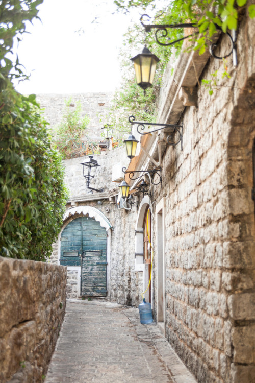 floralls: Budva, Montenegro  by  Rebecca Dale