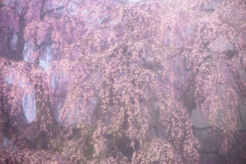 1512px: ➀ | ➁ | Takahiro Urano(Do not remove credits)