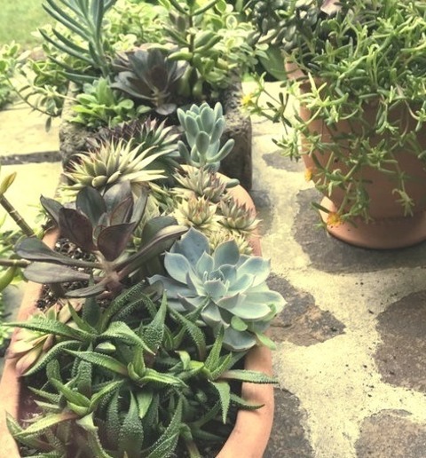 Philadelphia Porch Front Yard