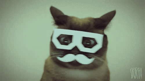carbov: dupstepkitty