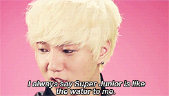 Porn photo haehyukyumin:         What does Super Junior