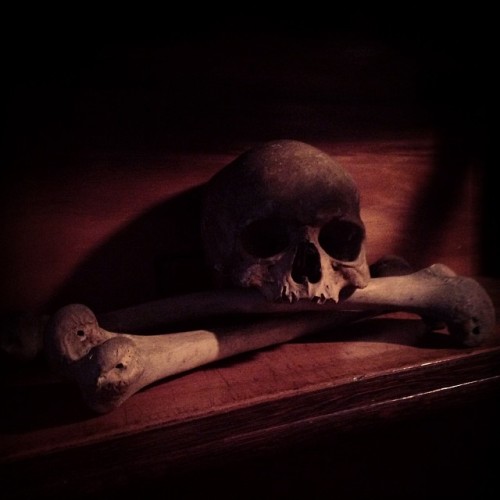 Jolly. #humanskull #skull #antiquefemurs #Europeanskull #osteology #globe #JollyJack #meanmug #cross