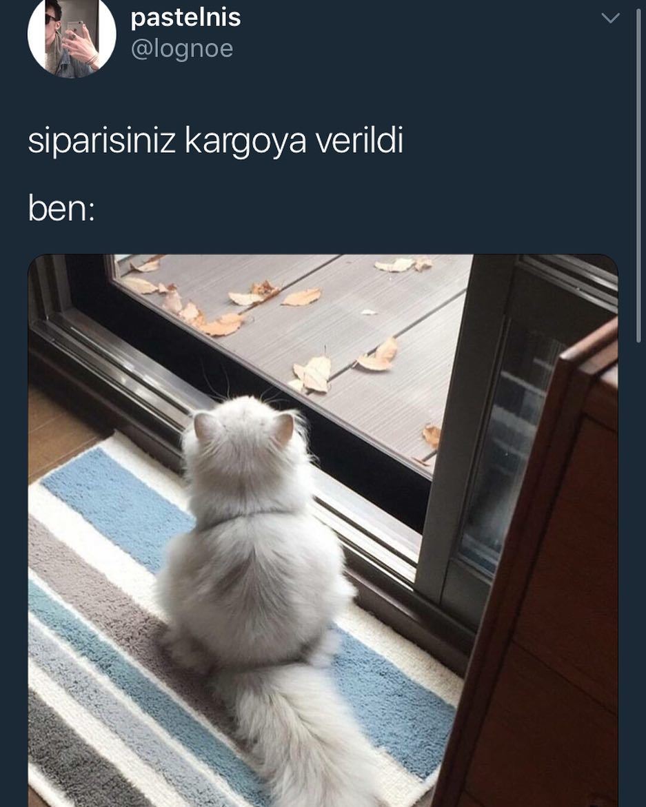 Siparişiniz kargoya verildi
Ben: