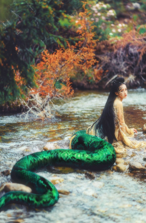hanfugallery:青蛇 by 夏弃疾_ This photoset is a creative portrayal of the mythological snakes described i