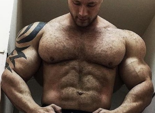 Packed Pecs