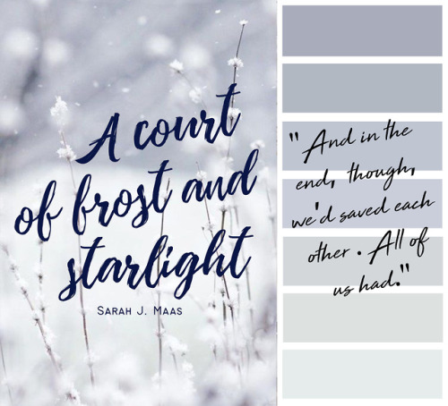 Books read in 2019: A Court of Frost and Starlight. “Stars flickered around us, sweet darkness sweep