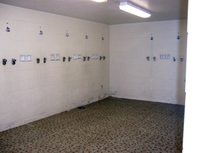 Basic Training Showers Basic Training Showers