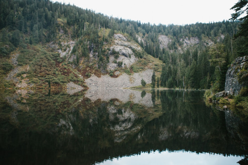 XXX bethanymarieco:  A fall washington adventure photo