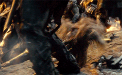 theheirsofdurin:   Thorin watching his loved ones get brutally killed by Azog (◡‿◡✿)