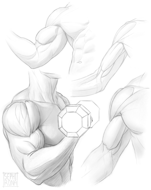 Bicep studies begin! Trying to avoid over-rendering on these for now so I can think about the inters