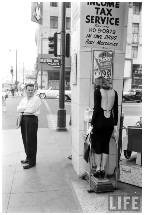 willigula:  Vikki Dougan (said to be one of the inspirations for Jessica Rabbit) on Hollywood & Vine by Ralph Crane, 1957 