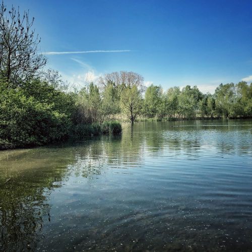 The lake. Cator Park, Kidbrooke, South London, May 2021.