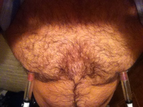 https://nipplepigs.tumblr.com/post/179781012148
