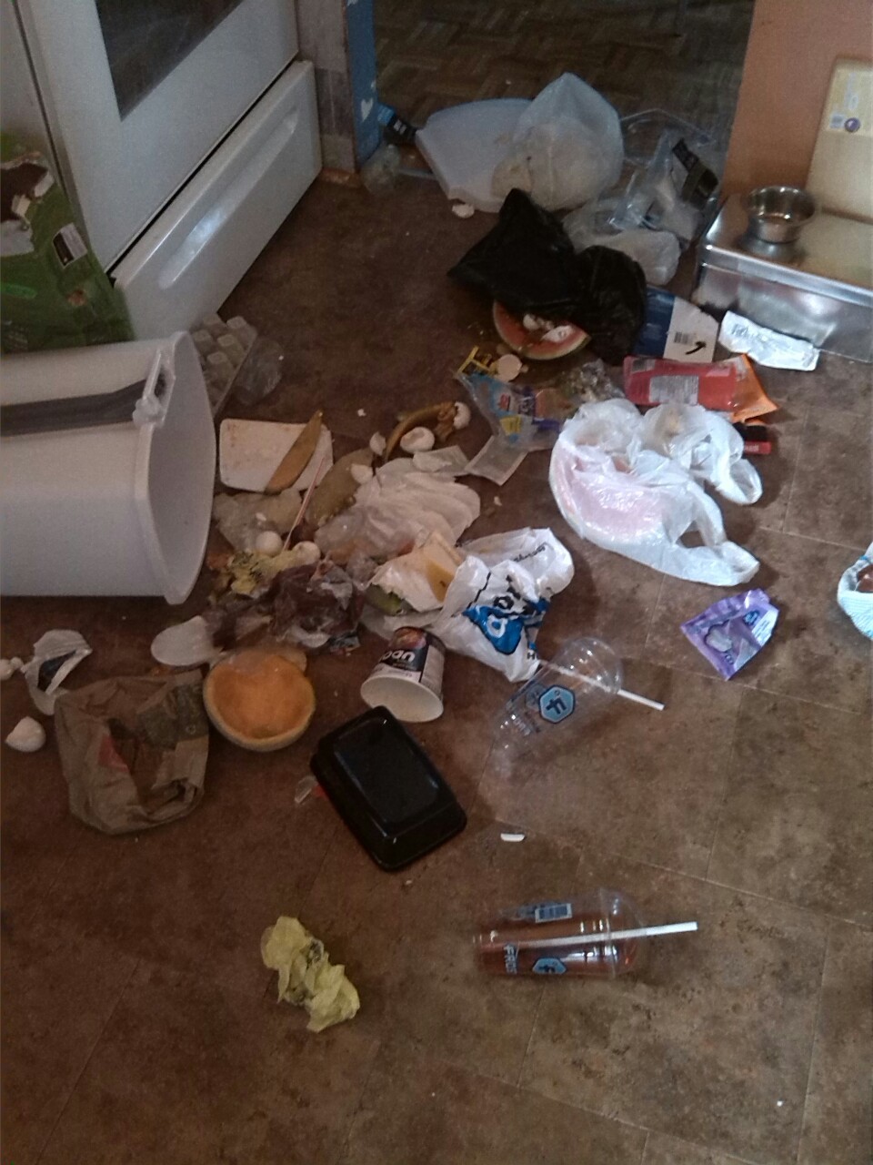 ghostyfelix:  This is Willow. Willow is M.O.D.’s dog, and although he loves her