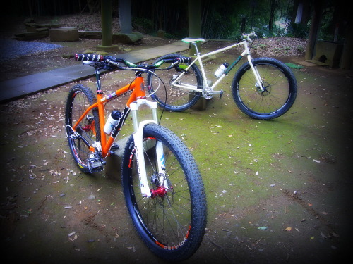nandb-harmas: Singular Cycles Buzzard & Gryphon