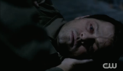 puppycastiel:  ARE YOU KIDDING ME thank you, Jesus. 