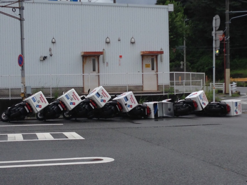 たかせ‏@tksjny妹から『ドミノピザがドミノになってる』とメール来たDomino toppling　by  Domino pizza motorcycle