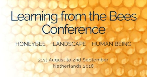 Learning from the bees Confrenece 2018, the Netherlands!!! So excited!!! I’ll be with&hell