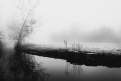 freddie-photography:  Fog on Water - By Freddie