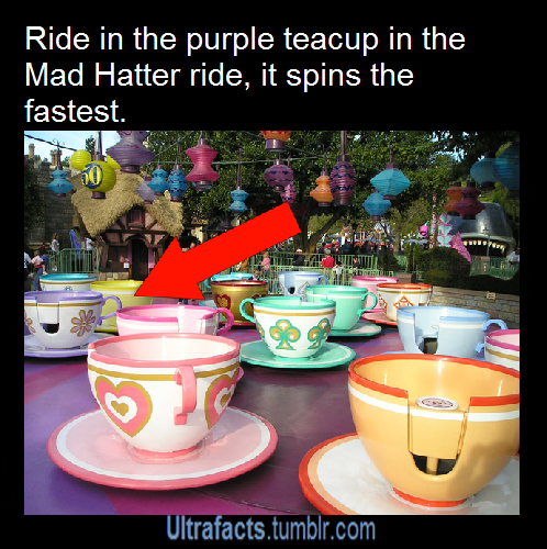 totallynotagentphilcoulson:  ultrafacts:  10 Things You Probably Didn’t Know About Disney Parks More facts on Ultrafacts!  Wait there was a time when there was MORE that one real skull on the PotC ride? 