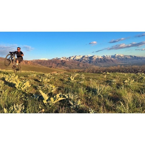 seankerrick: Pop a wheelie I’m sweatin’ //Thanks for the photo @Matty_mo - #saltlakecity #bobsled #m