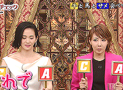 陽月華 格付け
