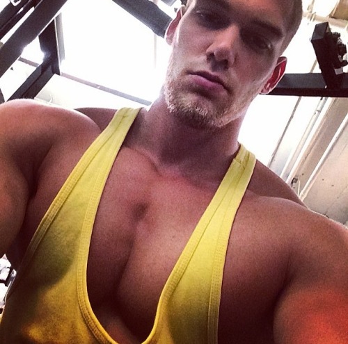 builddudebuild:  My big motivator, Mischa Janiec  Fucking swole chest appreciation post!