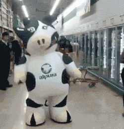 thefrogman:  This cow has moooooves.  [video]