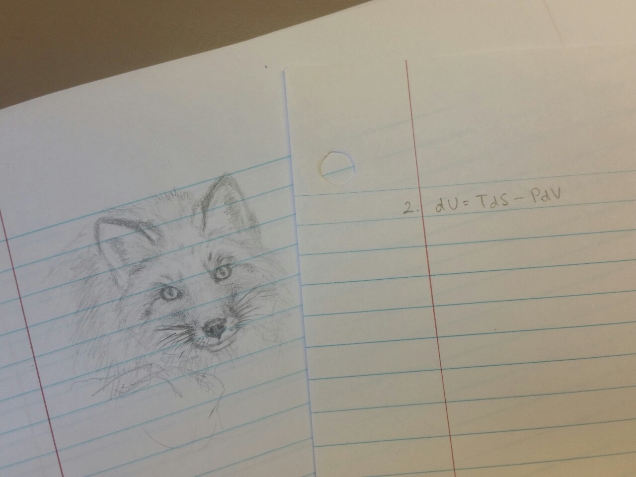 How do other people just sit down in the library and get shit done? I’ve been here