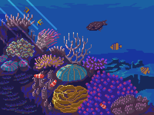 kldpxl: Coral reef