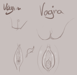 And now a vag! This time we both used the same amount of time. (Also includes a bonus doodle of a dinosaur/spleen on my friend&rsquo;s side) Sorry for this! Enough silliness for one night.