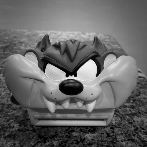 Day 80 of 365 - Taz Cam - Inspired by the world’s Looney Tunes Tasmanian Devil, the Polaroid 600 Taz