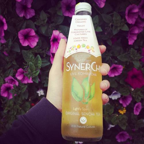 Finally tried #synerchi Kombucha today and WOW Ultra refreshing! Kind of reminded me of fruit cider 