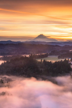disminucion:  Mt Hood Sunrise, Matthew Kuhns | Website 