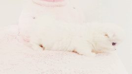 ihearteng:  △   