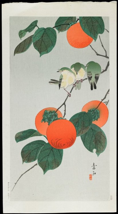 mia-japanese-korean:Persimmon and Birds, Komori Soseki, c. 1928-1930, Minneapolis Institute of Art: 