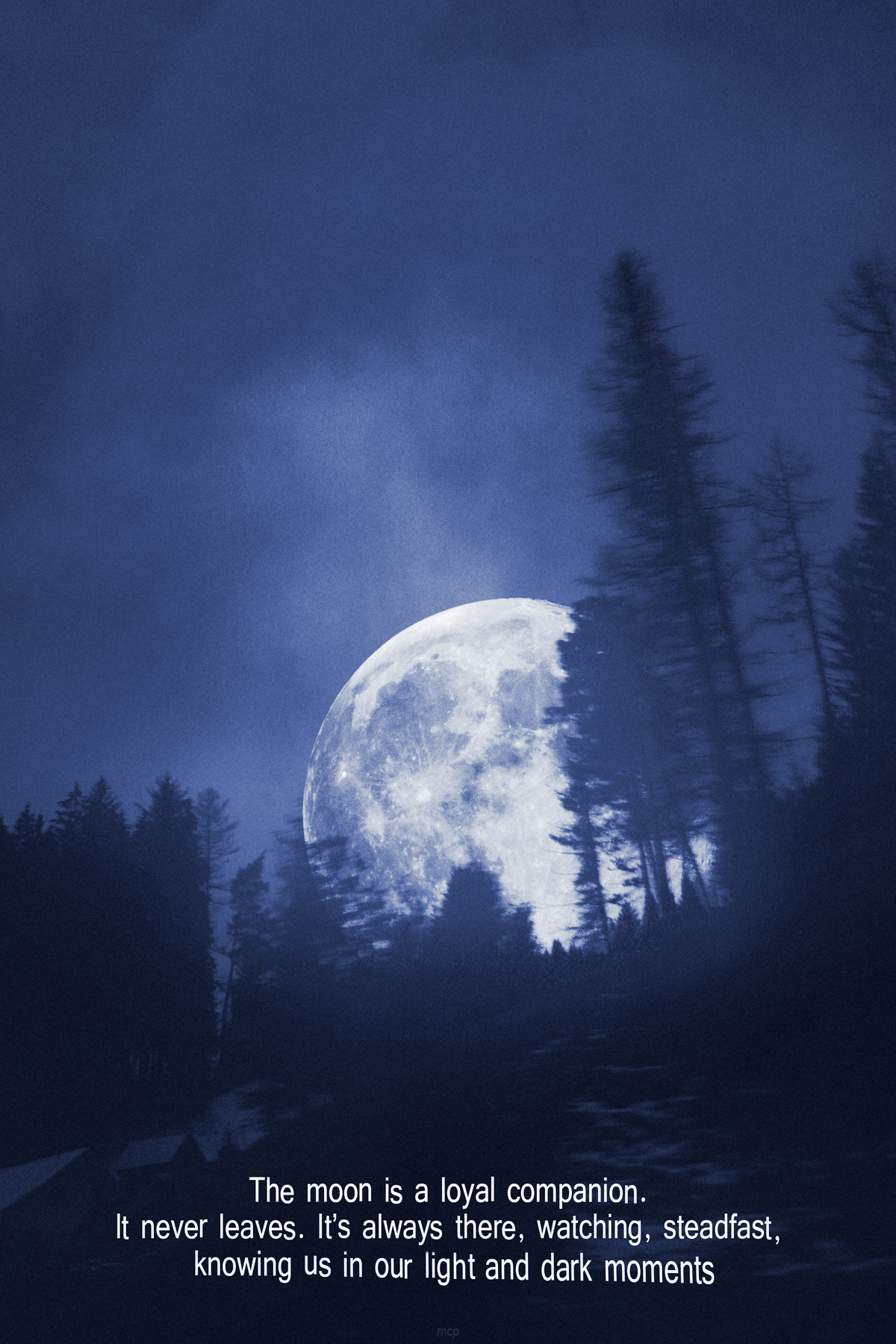 mcpoiseur:  claire de lune