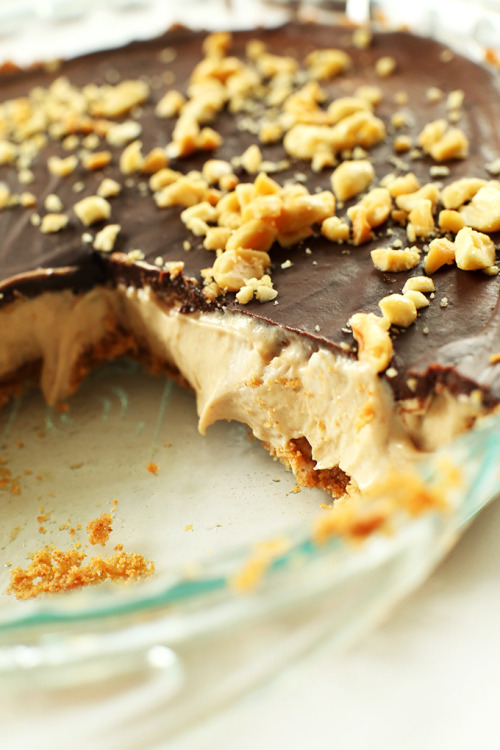 do-not-touch-my-food:  Peanut Butter Cup Pie