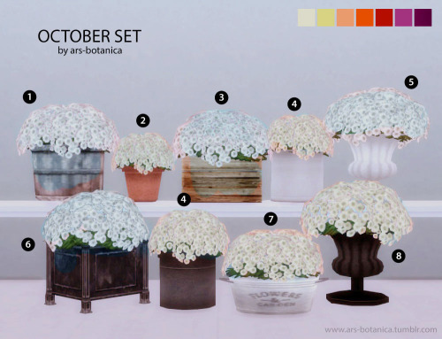 October SetNumbers 1-8 (chrysanthemums) are the same flowers, just different containers. These are p