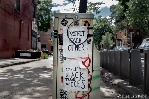 thedustyrebel:Protect Each Other - Amplify Black Trans VoicesFort Greene, BrooklynMore photos: Queer